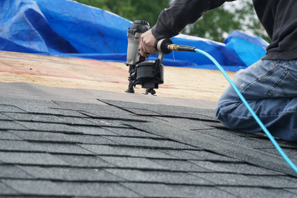Best Metal Roofing Contractor  in Sissonville, WV