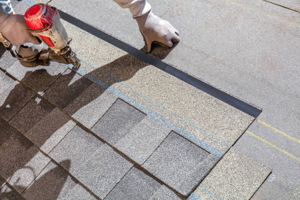 Best Flat Roof Repair Services  in Sissonville, WV
